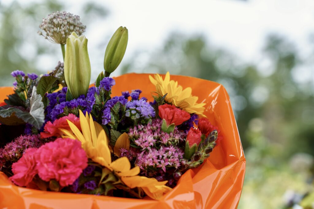 New Yorks Best-Kept Secret: Achieving Your Plastic Surgery Goals New Yorks Best-Kept Secret: Achieving Your Plastic Surgery Goals